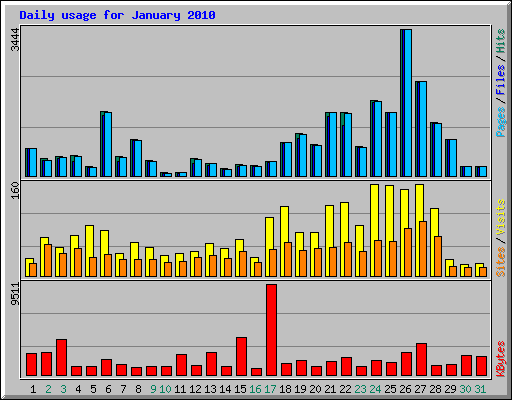 Daily usage for January 2010