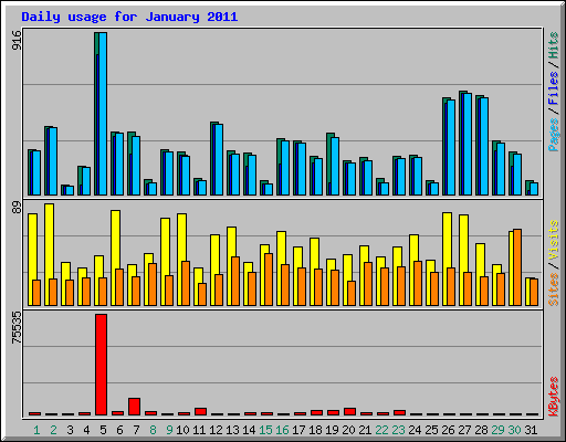 Daily usage for January 2011