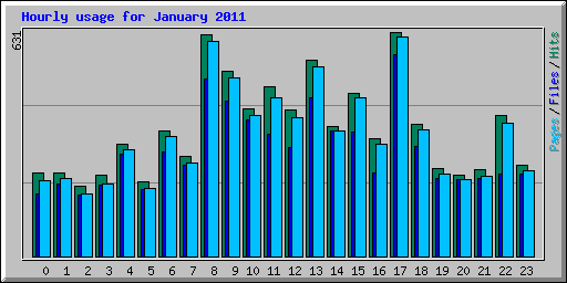 Hourly usage for January 2011