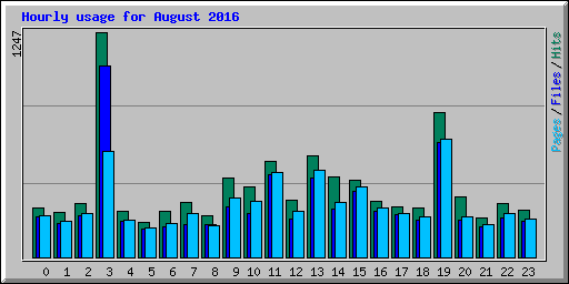 Hourly usage for August 2016