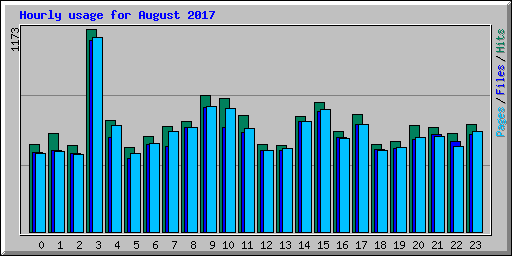 Hourly usage for August 2017