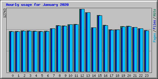 Hourly usage for January 2020