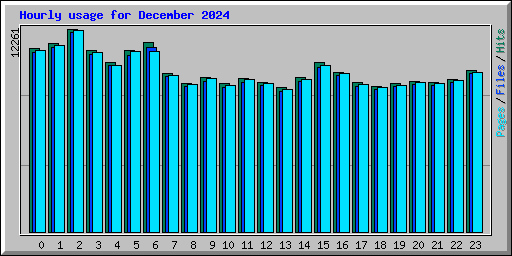 Hourly usage for December 2024