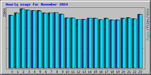 Hourly usage for November 2024