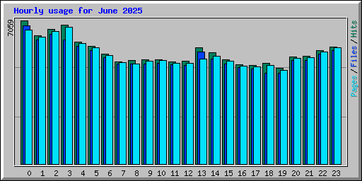 Hourly usage for June 2025