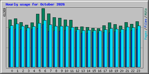 Hourly usage for October 2026